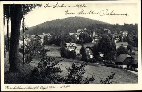 Ak Bärenfels Altenberg im Erzgebirge, Teilansicht vom Ort