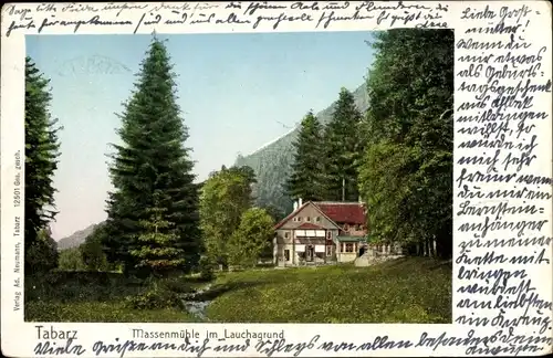 Ak Tabarz im Thüringer Wald, Massenmühle im Lauchagrund, Gesamtansicht mit Bach und Tannen
