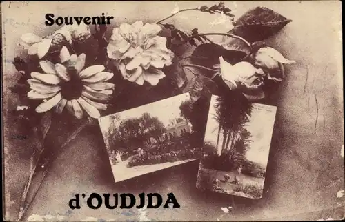 Ak Oudjda Oujda Marokko, Sidi Yaldia, Palmiers