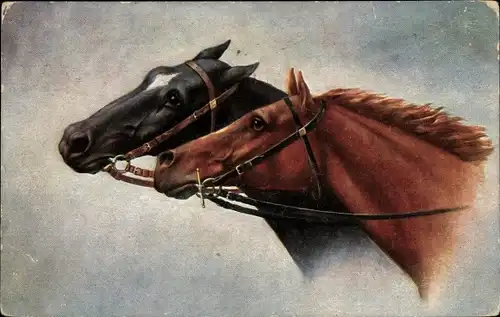 Künstler Ak Pferdeportrait, braunes und schwarzes Pferd mit Zaumzeug