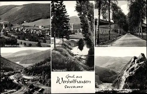 Ak Wenholthausen Eslohe im Sauerland, Ortsansicht, Birkenallee, Blick vom hohen Wellenstein