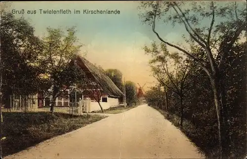 Ak Hollern Twielenfleth Niedersachsen, Reetdachhaus, Windmühle, Straßenpartie