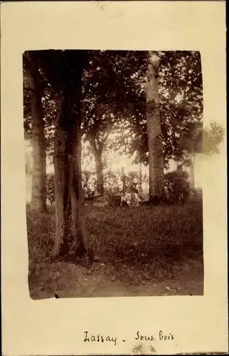 Foto Ak Lassay Frankreich, Sous bois, Bäume