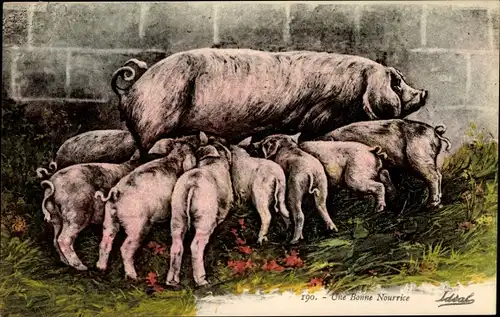 Künstler Ak Une bonne Nourrice, Schweine, Sau mit Ferkeln