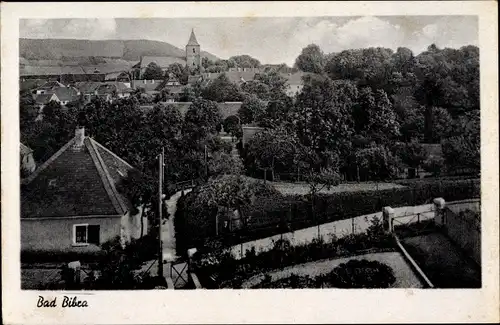 Ak Bad Bibra in Sachsen Anhalt, Blick über die Dächer der Stadt, Kirche