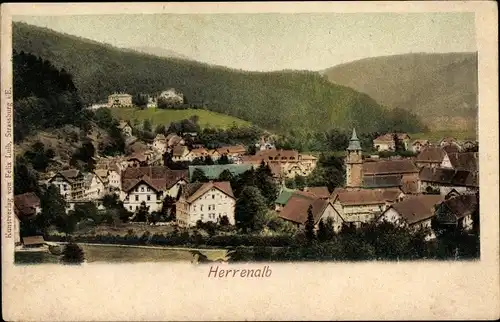 Ak Bad Herrenalb im Schwarzwald, Kirche, Panorama vom Ort