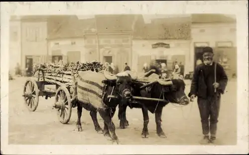 Foto Ak Rinderwagen, Zweiergespann, Vorderasien?, Balkan?