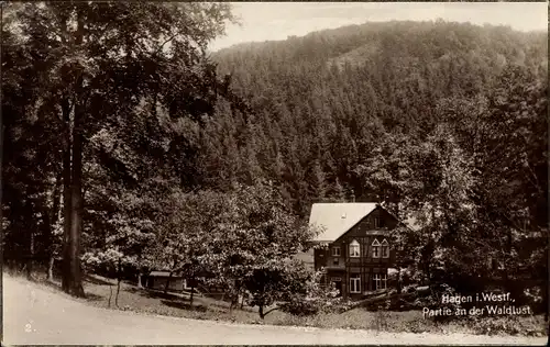 Ak Hagen in Westfalen, Waldlust Gasthaus, Gesamtansicht, Waldpanorama