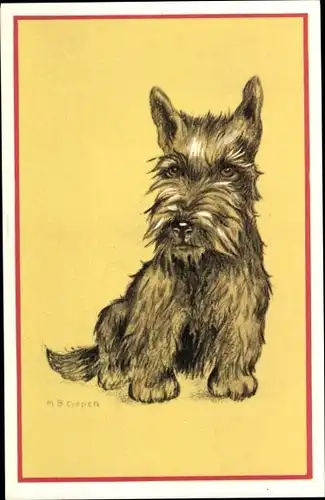 Künstler Ak Cooper, M. B., Scottish Terrier, Hundeportrait