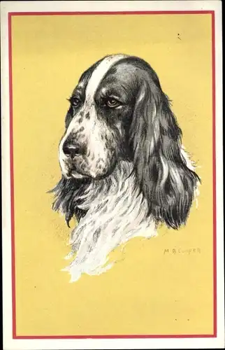 Künstler Ak Cooper, M. B., Cocker Spaniel, Hundeportrait