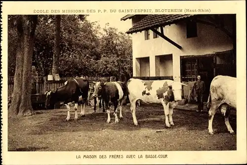 Ak Blotzheim Elsass Haut Rhin, Mission du Saint Esprit, la maison des frères avec la basse cour