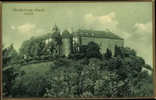 Ak Blankenburg am Harz, Schloss und Umgebung 