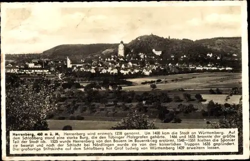 Ak Herrenberg Baden Württemberg, Stiftskirche, Panorama vom Ort