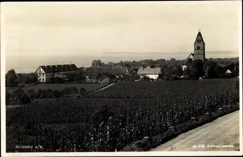 Ak Hagnau am Bodensee, Kirchturm, Panorama vom Ort