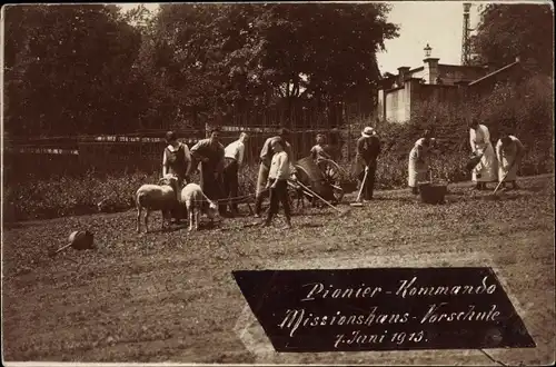 Foto Ak Pionier Kommando, Missionshaus Vorschule, 07. Juni 1913, Gartenarbeiten, Schafe