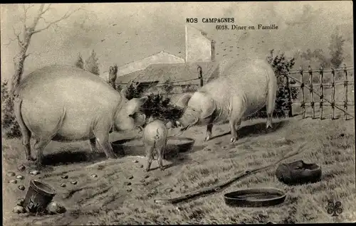 Künstler Ak Nos Campagnes, Diner en Famille, Schweine beim Futtern