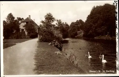 Ak Hamm in Westfalen, Nordring, Wasserpartie, Wohnhaus