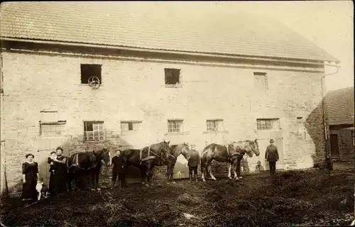 Foto Ak Pferde auf einem Bauernhof, Anwohner