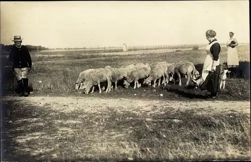 Foto Ak Hirte mit Schafherde auf einem Feld