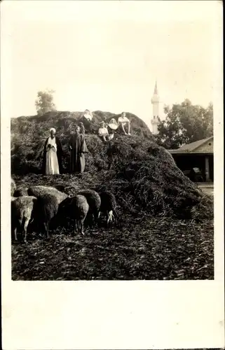 Foto Ak Vorderasien, Hirten mit Schafen, Minarett