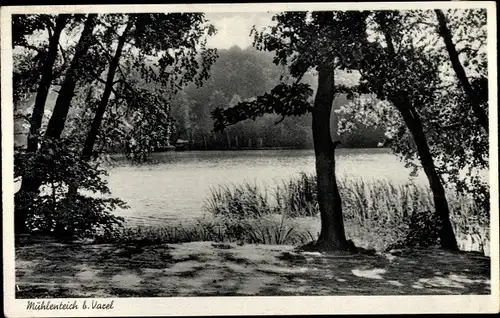 Ak Varel in Friesland, Partie am Mühlenteich