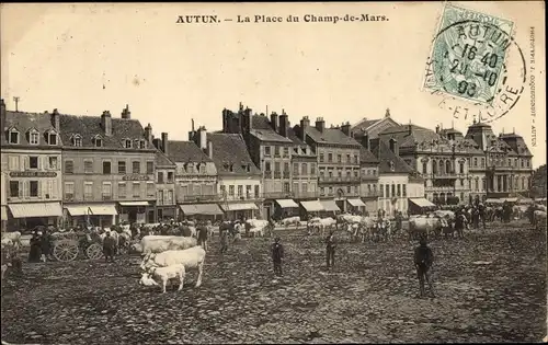 Ak Autun Saône et Loire, La Place du Champ de Mars, Rinder auf dem Marktplatz, Restaurant Bouchoux