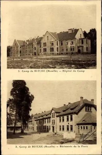 Ak Bitche Bitsch Lothringen Moselle, Hopital du Camp, Batiments de la Foret