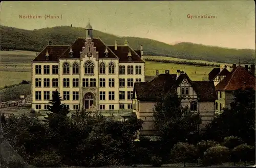 Ak Northeim in Niedersachsen, Gymnasium, Gesamtansicht, Wohnhäuser, Panorama