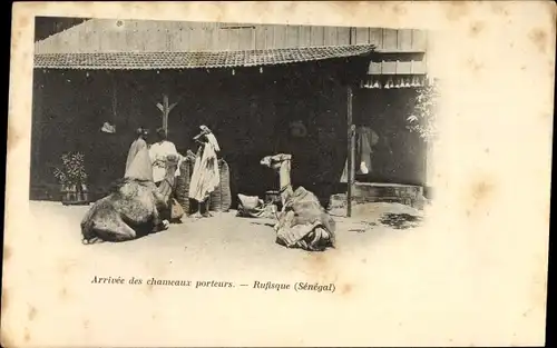 Ak Rufisque Senegal, Arrivée des chameaux porteurs, Kamele vor einem Gebäude