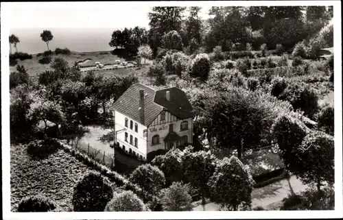 Ak Ascheberg in Schleswig Holstein, Pension Villa am See, Gesamtansicht, Garten, Seeufer, Panorama