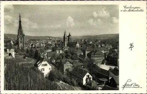 Ak Esslingen am Neckar Baden Württemberg, Kirche, Weinberg, Teilansicht