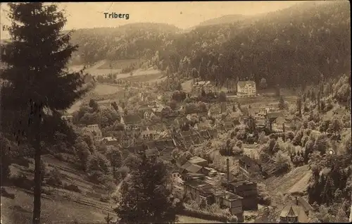 Ak Triberg im Schwarzwald, Panoramaansicht von Ortschaft