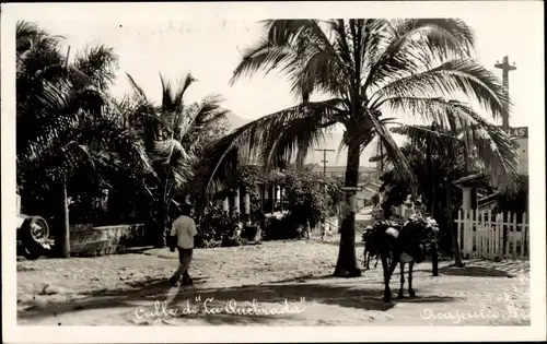 Foto Ak Mexiko, Calle de La Quebrada, Straßenpartie, Palmen