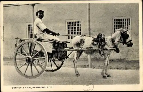Ak Barbados, Donkey Cart, Eselskarren