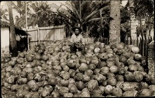 Ak Singapur, Coconuts, Junge auf einem Haufen Kokosnüsse