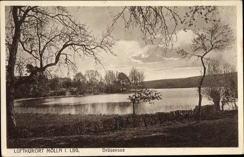 Ak Mölln in Schleswig Holstein, Blick auf den Drüsensee