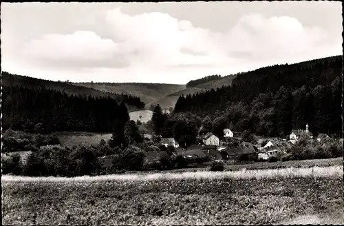 Ak Fohlenplacken Holzminden in Niedersachsen, Totalansicht vom Ort