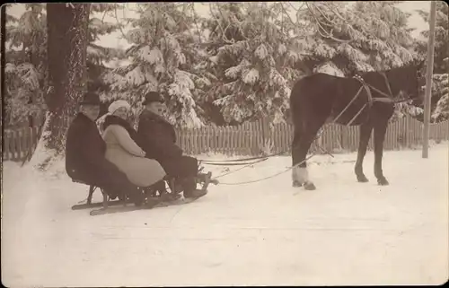 Foto Ak Pferd zieht einen Schlitten, Drei Passagiere, Wintersport