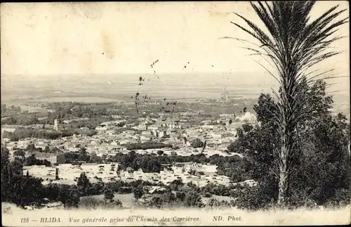 Ak Blida Algerien, Vue générale prise du Chemin des Carrières, ND. Phot. 128