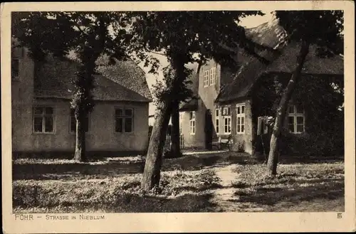 Ak Nieblum auf der Insel Föhr Nordfriesland, Partie im Ort, Reetdachhäuser