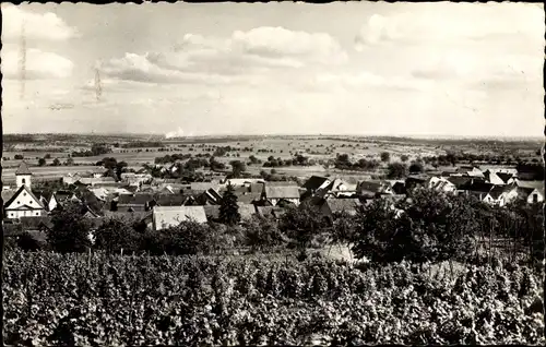 Ak Dahlenheim Elsaß Bas Rhin, Vue du Scharrach, Plaine d'Alsace