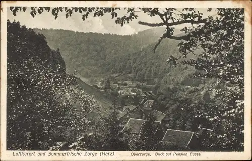 Ak Zorge Walkenried im Harz, Sommerfrische, Blick auf Pension Busse, Teilansicht vom Ort