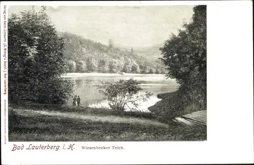 Ak Bad Lauterberg im Harz, Wiesenbecker Teich, Wald, Passanten, Panorama