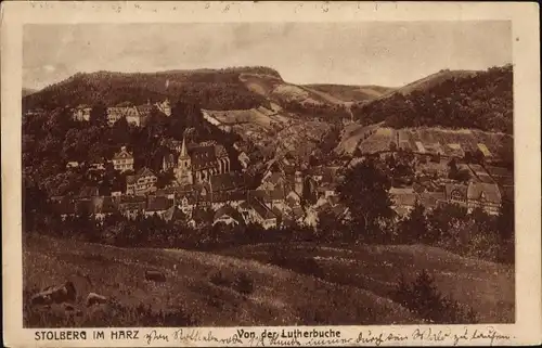 Ak Stolberg Südharz, Blick von der Lutherbuche auf den Ort