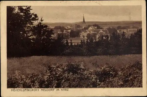 Ak Neudorf Harzgerode am Harz, Panorama von Ort und Umgebung, Kirche