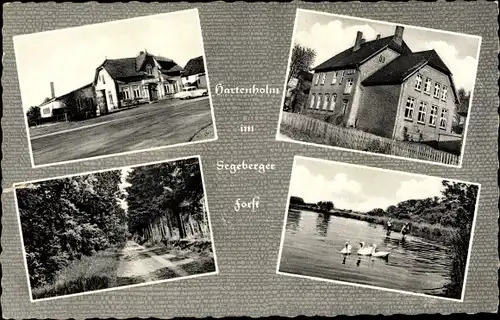 Ak Hartenholm in Schleswig Holstein, Central Gasthof, Segeberger Forst, Gebäude