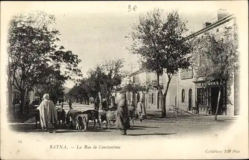 Ak Batna Algerien, La Rue de Constantine