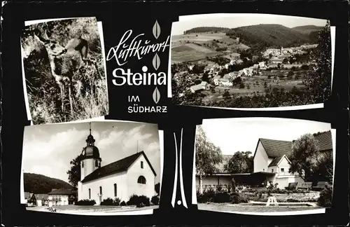 Steina Bad Sachsa in Niedersachsen, Totalansicht, Reh, Kirche, Gasthaus Garten