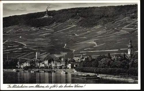 Ak Rüdesheim am Rhein, Panorama vom Ort, Ufer, Weinberg