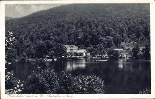 Ak Bad Lauterberg im Harz, Wiesenbeker Teich, Panorama